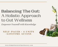 Balancing the Gut: A Holistic Approach to Gut Wellness